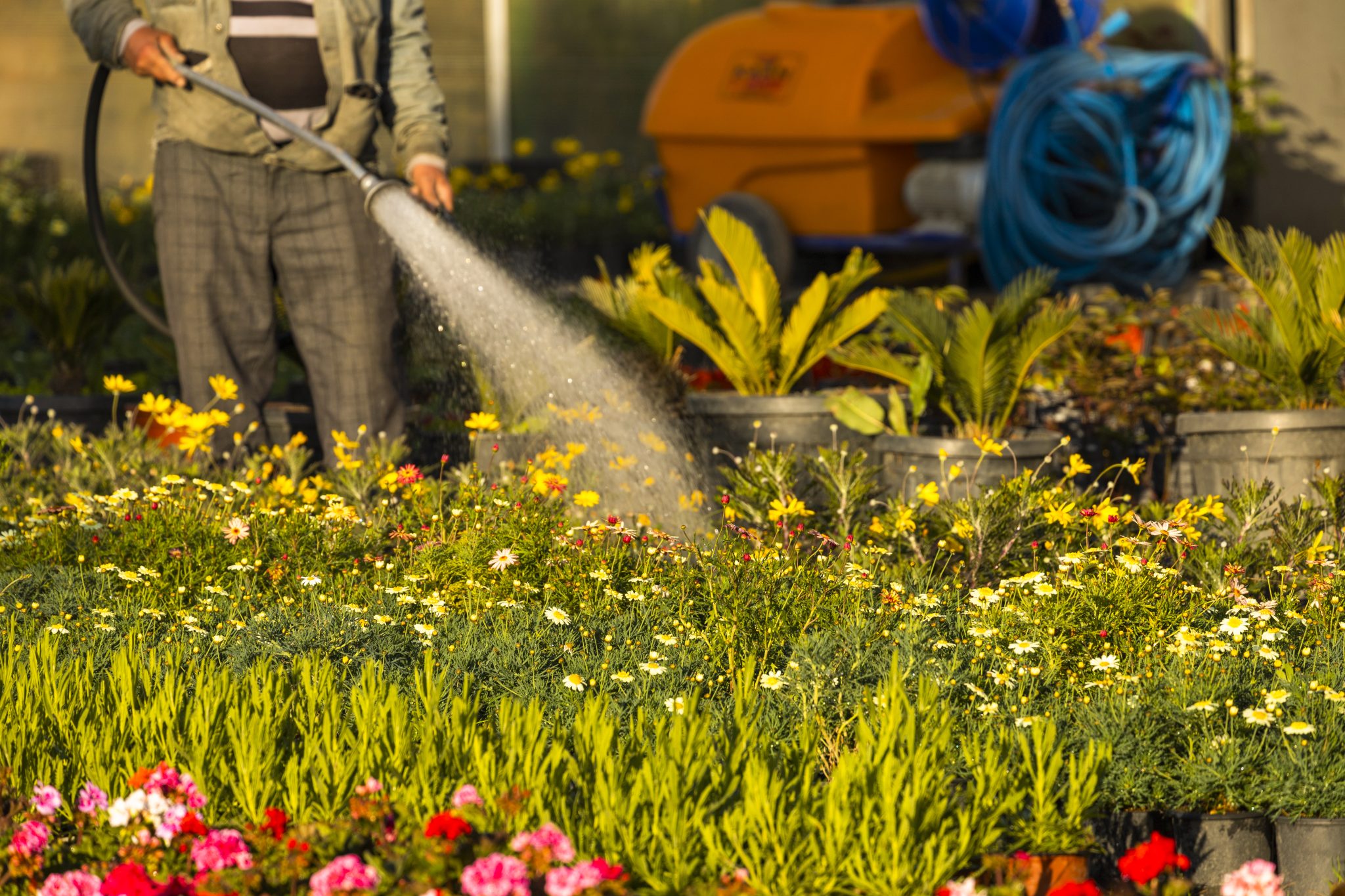 How Much Does a Sprinkler System Cost in Ontario? Updated 2023!