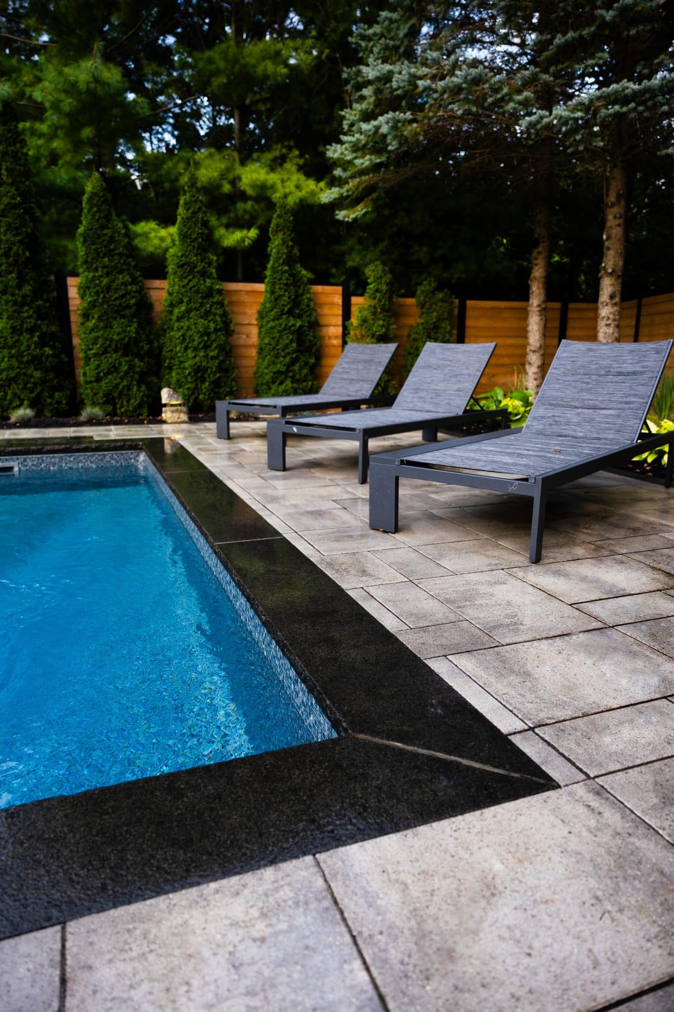 The best and the most efficient landscaping services in Woodbridge